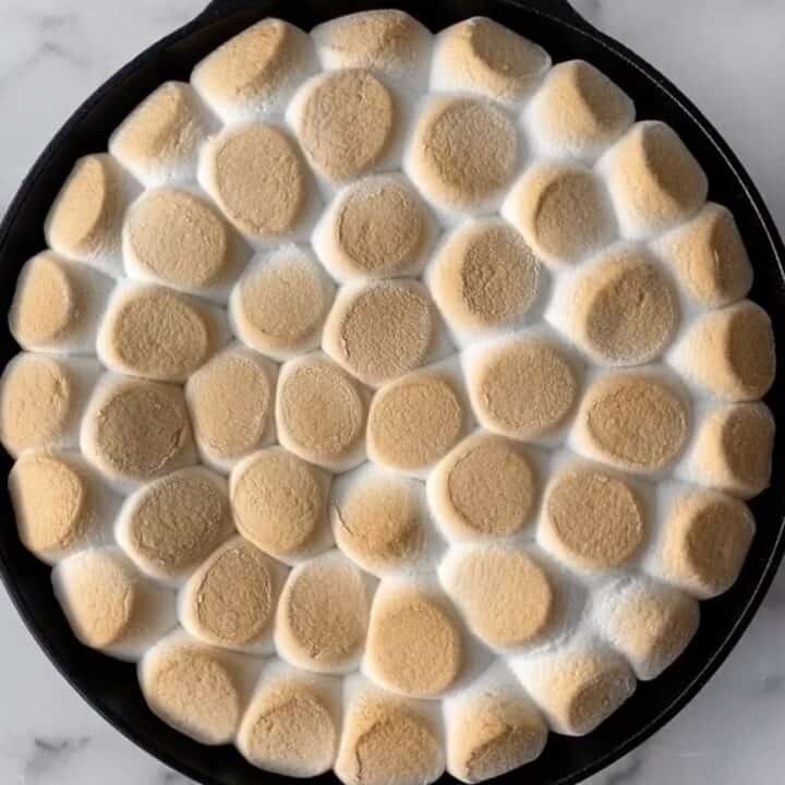 Reese's s'mores dip