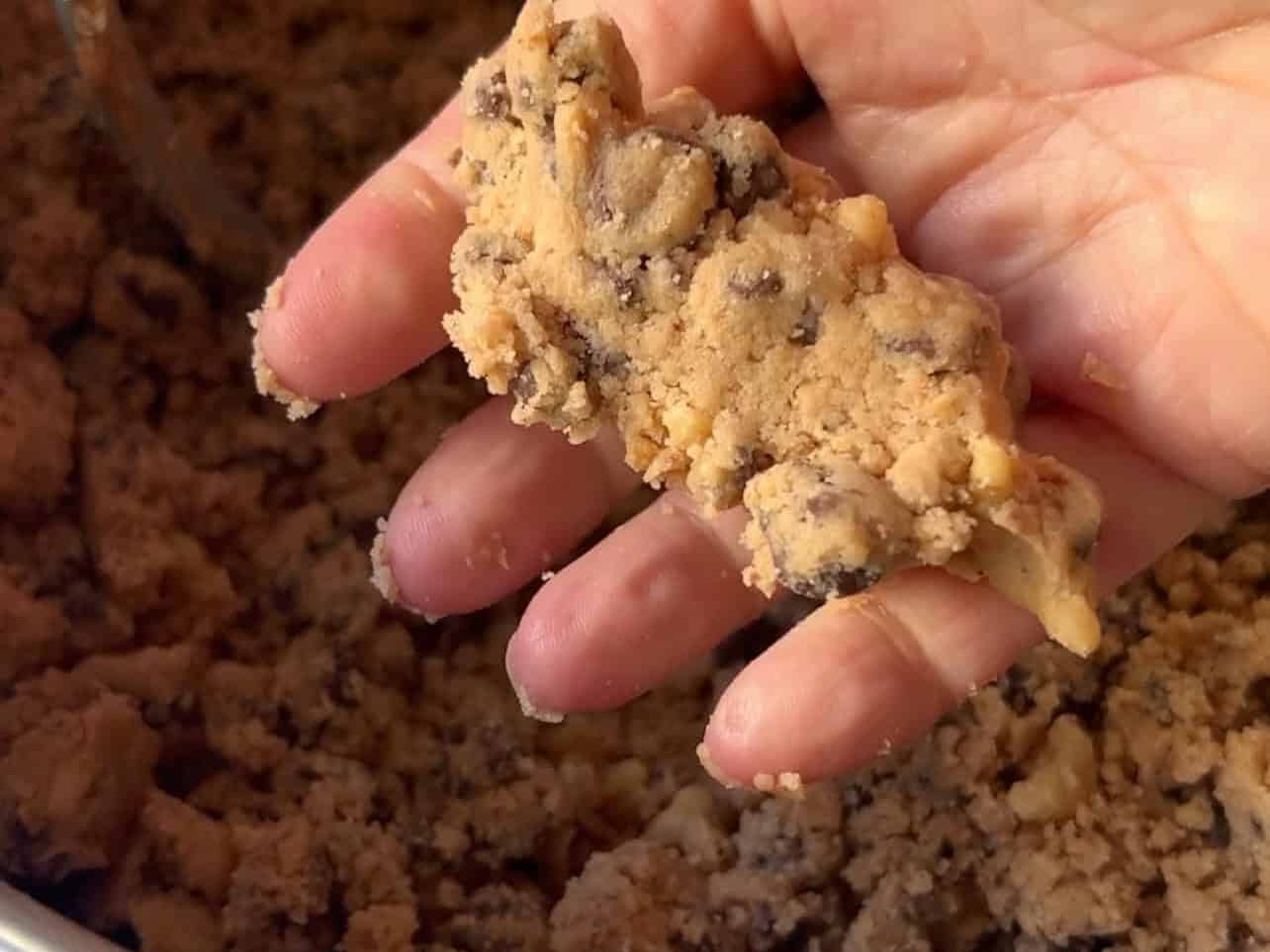 crumbly texture of cookie dough