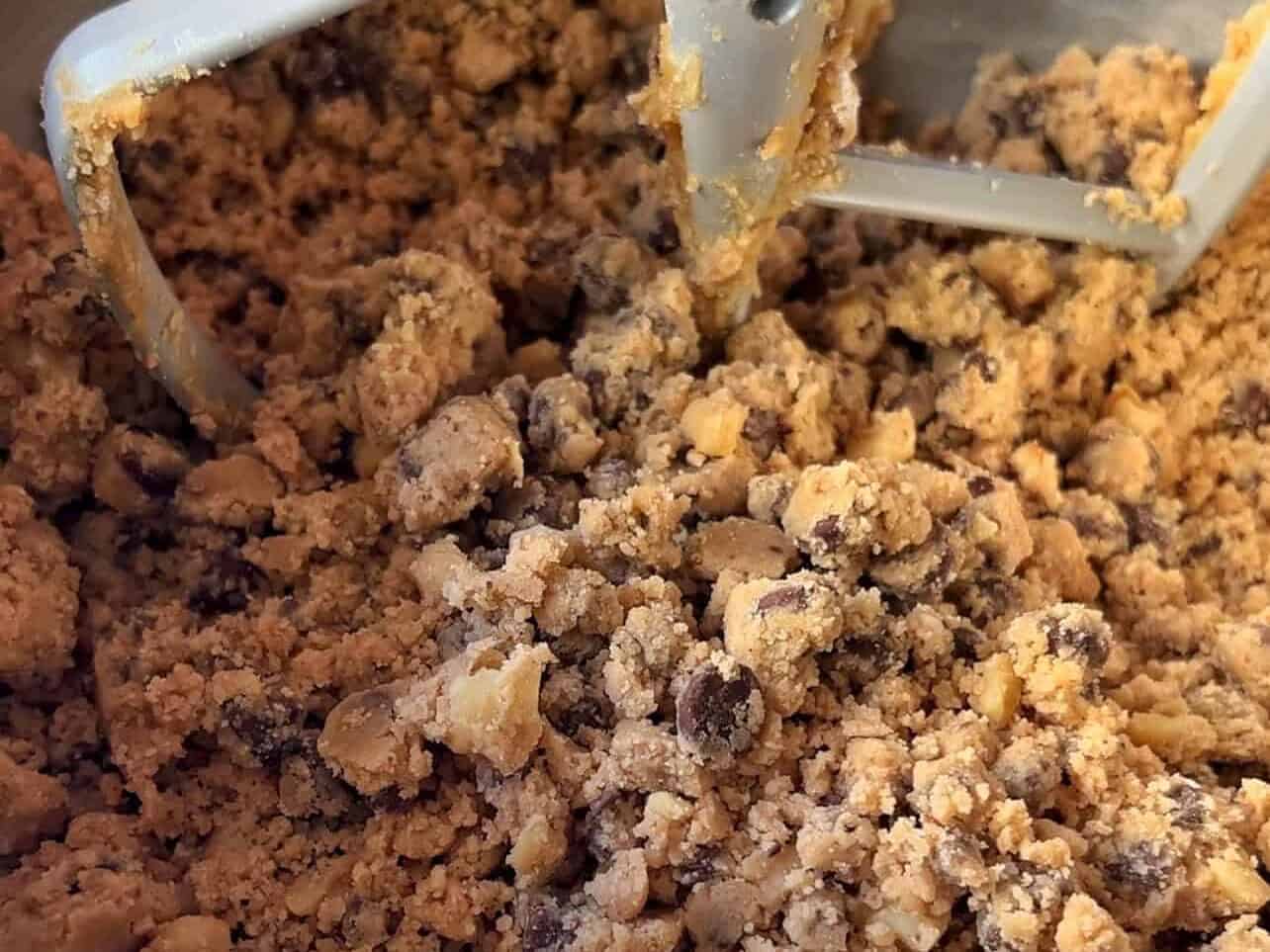 crumbly chocolate chip cookie dough
