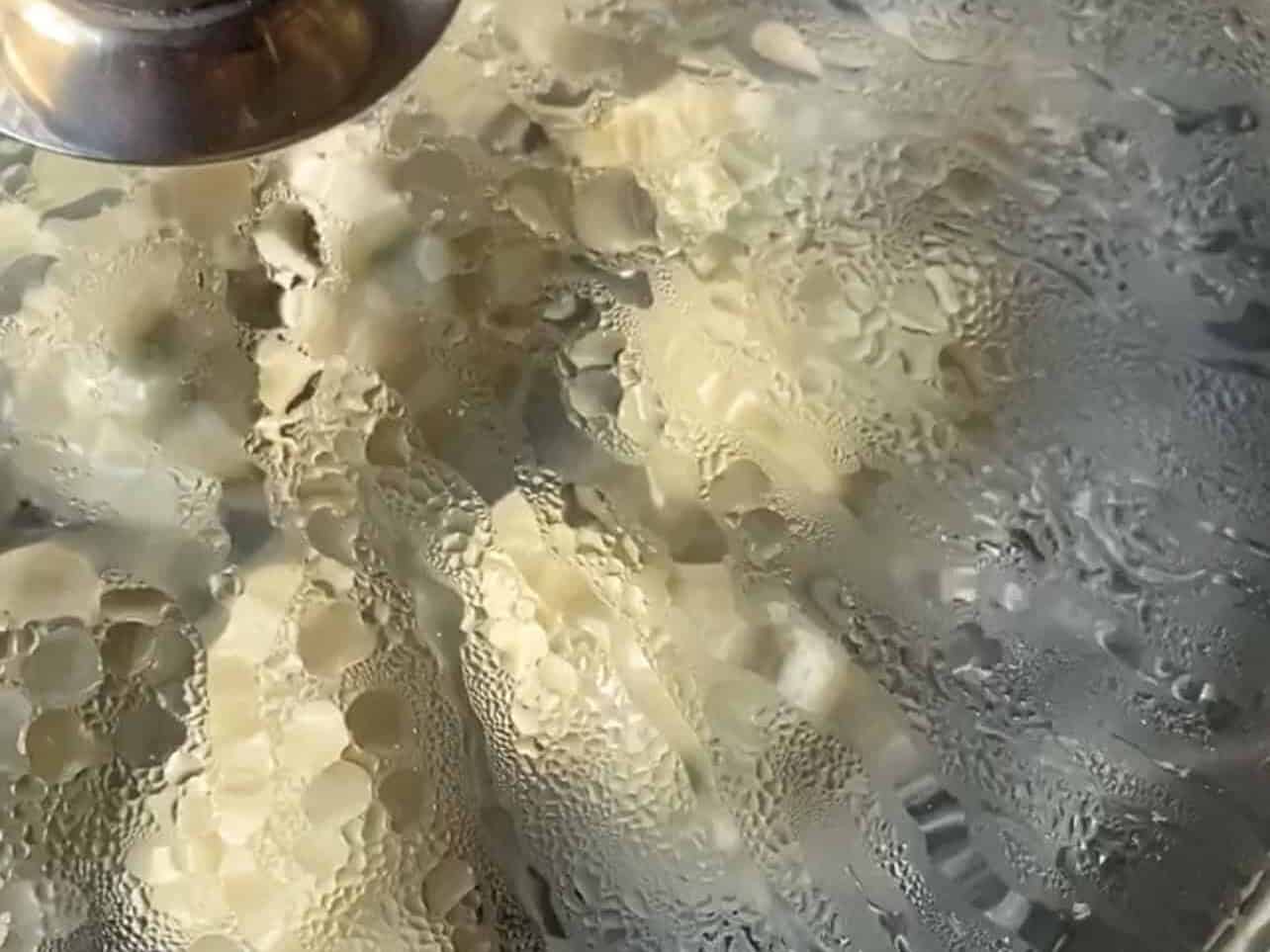 cover pan to steam dumplings