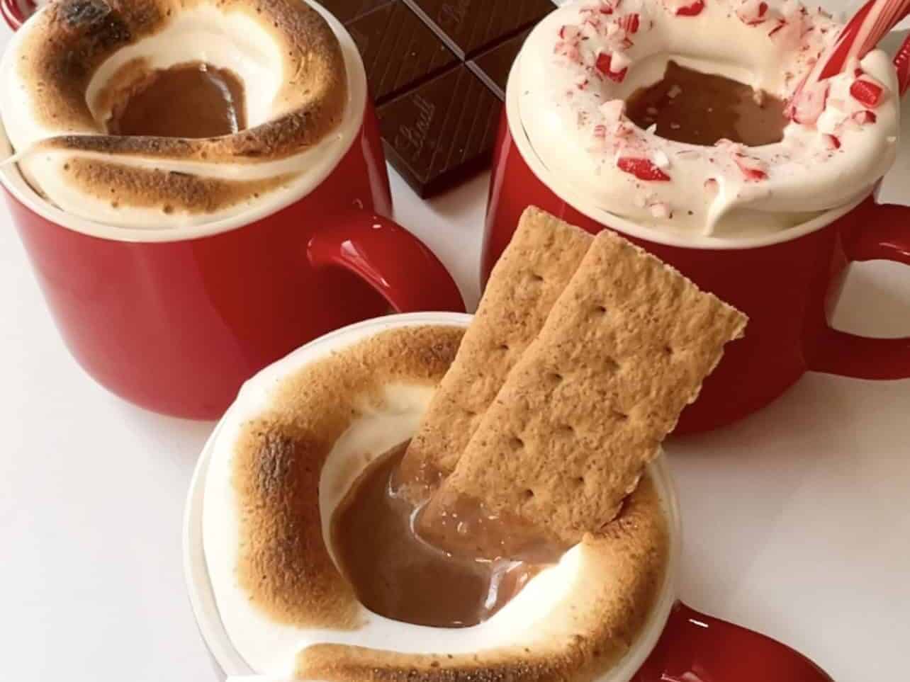 Creamy Hot Cocoa w/ Torched Marshmallow | happytummy702