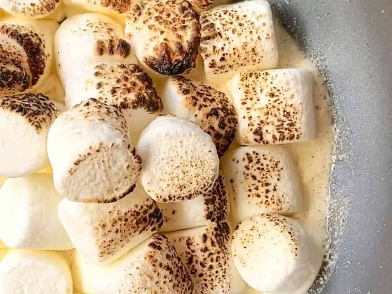 torched marshmallows