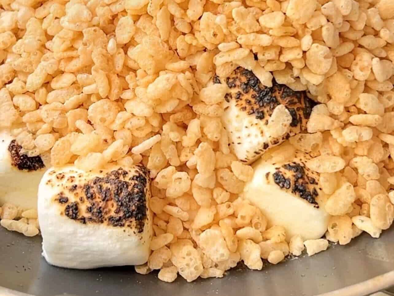 add rice cereal to torched marhmallows