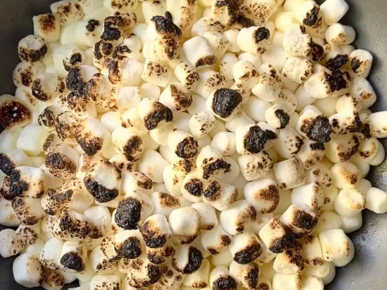 charred gooey marshmallows