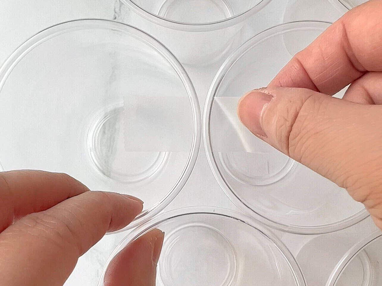 tape disposable cups together to create a cupcake bouquet