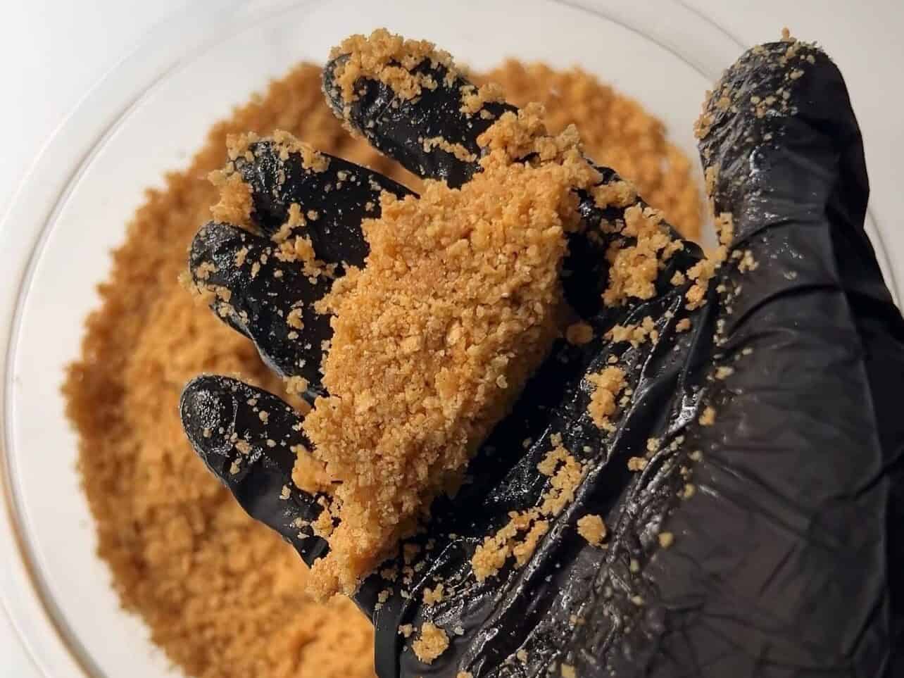 binding cheesecake crust in hand to see if it crumbles