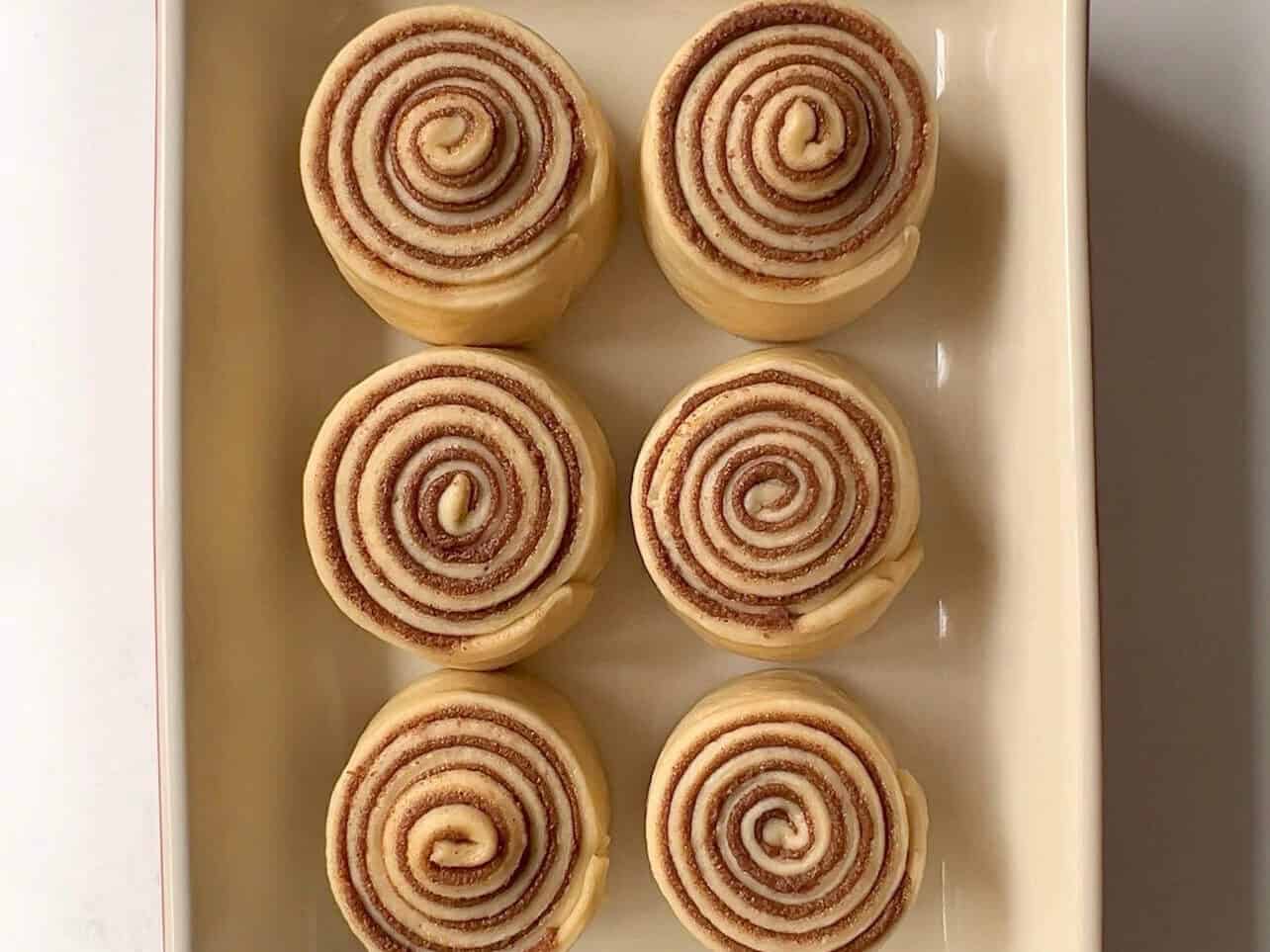 Cinnabon style cinnamon rolls arranged in bakinng try ready for proofing